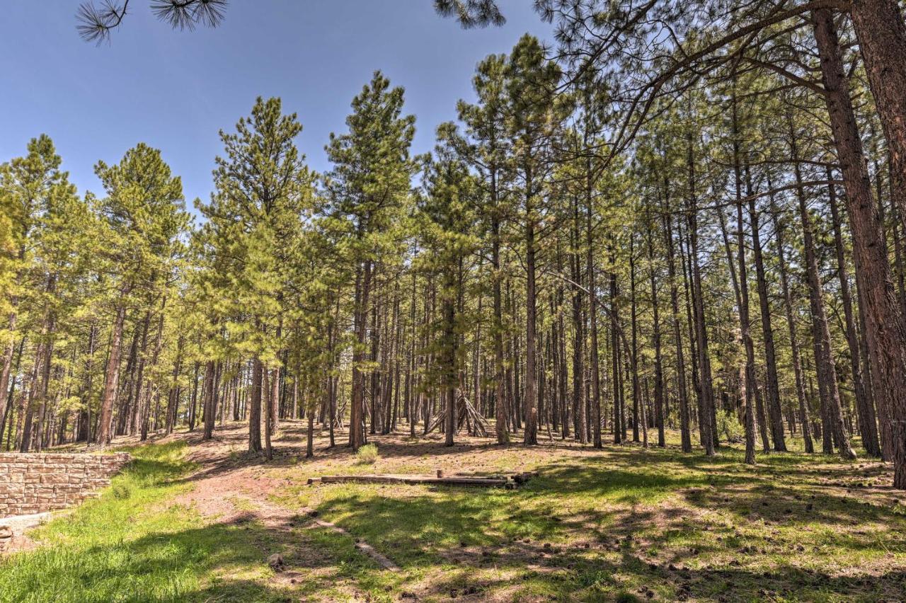 Angel Fire All-Season Escape Walk To Ski And Trails 外观 照片